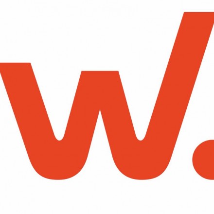 Проект W - LES