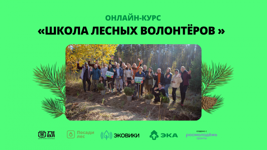 Пройти онлайн-курс по лесному волонтерству и поехать в полевой лагерь - LES